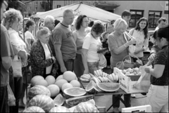 markt