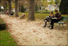 Park