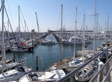 IJmuiden. Jachthaven.
