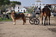 spanje 2010