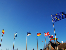 Vlag van de Europese Unie en een aantal lidstaten