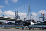 Erasmusbrug in Rotterdam