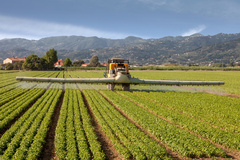 Tractor op het land