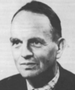Nico van der Veen